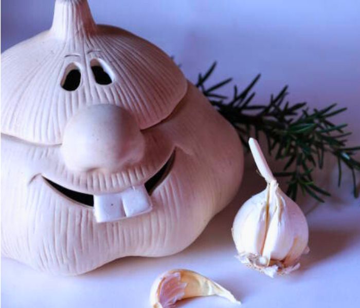 Best Garlic Keeper
